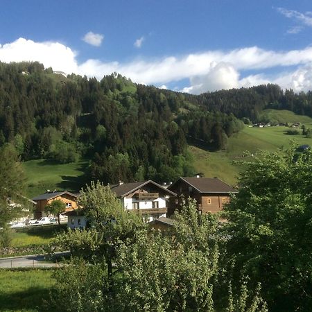 Kitzbuheler Alpen Penthouse Hollersbach Apartman Hollersbach im Pinzgau Kültér fotó